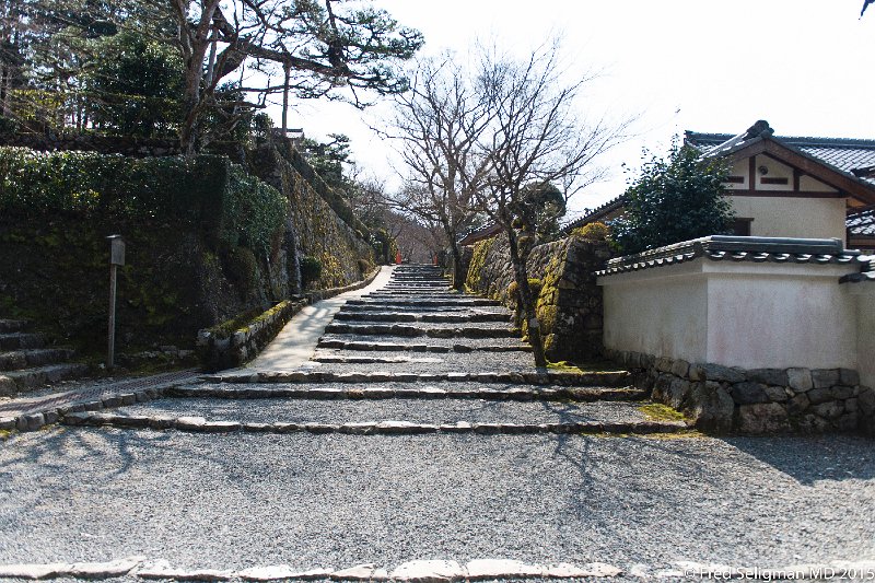 20150313_123042 D4S.jpg - Sanzen-in Temple, Kyoto Prefecture.